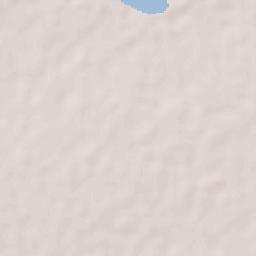 Plan de Ayala Terrain Map