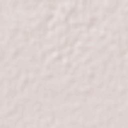 San Antonio de los Tepetates Terrain Map