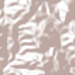 Santa Rosa de Lima Terrain Map