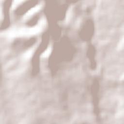 Tequisquiapan Terrain Map