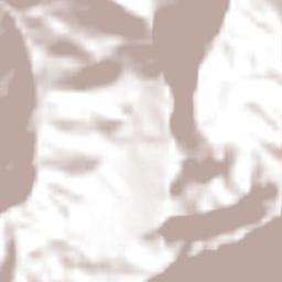 La Reforma Terrain Map