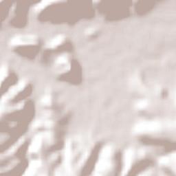 Ixtlán del Río Terrain Map