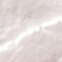 Cañada Grande Terrain Map