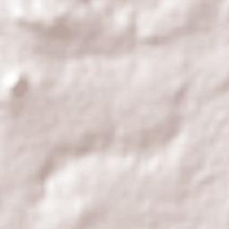 San José de los Reynoso Terrain Map