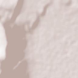 Purísima de Bustos Terrain Map