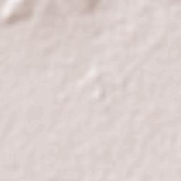 San Francisco del Rincón Terrain Map