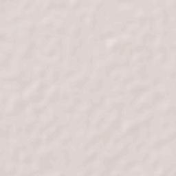 El CERESO Terrain Map