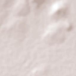 Mezquite de Sotelo Terrain Map