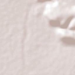 San Agustín de las Flores Terrain Map