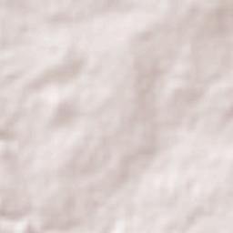 Rancho Viejo Terrain Map