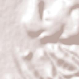 El Capulín Terrain Map