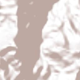 San Juan Ahuehueco Terrain Map