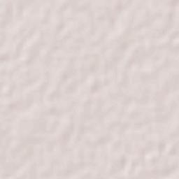 Cholul Cantón Terrain Map