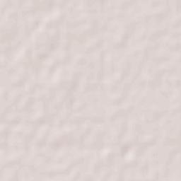 Benito Juárez Terrain Map