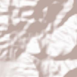 Muang Louang Namtha Terrain Map