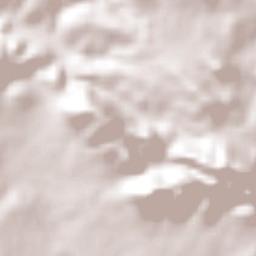 La Quemada Terrain Map