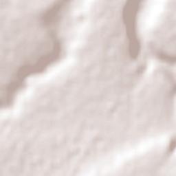 Valle de Guadalupe Municipality Terrain Map