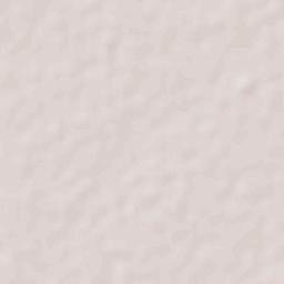 Rancho Nuevo de la Luz Terrain Map