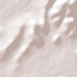 Colonia Francisco Javier Mina Terrain Map