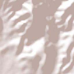 Aguas Buenas Terrain Map