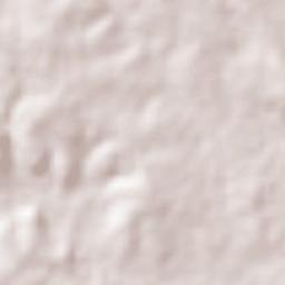 La Cruz del Palmar Terrain Map