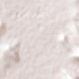 San José Iturbide Terrain Map