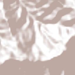 Acoxcatlán Terrain Map