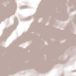 Tlalchiyahualica Terrain Map