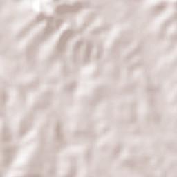 Ojite Rancho Nuevo Terrain Map