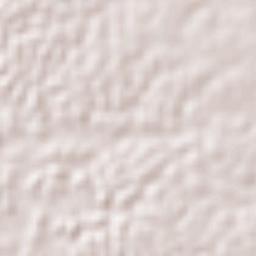 Banderas Terrain Map