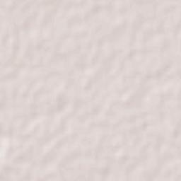 Tixpehual Terrain Map