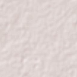 Leona Vicario Terrain Map