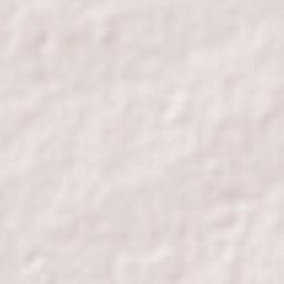 Padampur Terrain Map