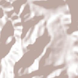 Amatanejo Terrain Map