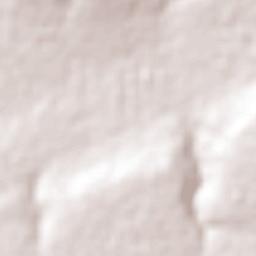 Pegueros Terrain Map