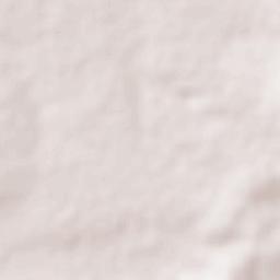 Barrio de Guadalupe del Mezquitillo Terrain Map