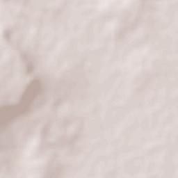 Bajío de Bonillas Terrain Map