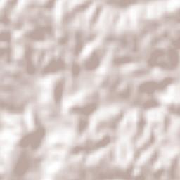 Xoconoxtle el Grande Terrain Map