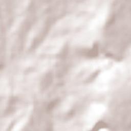 Colonia San Luis Rey Terrain Map