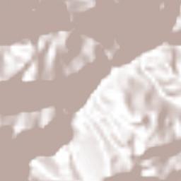 Chichatla Terrain Map