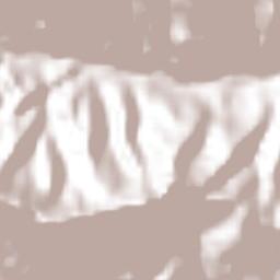 San Andrés (San Andrés Chichayotla) Terrain Map