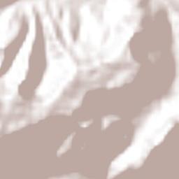 Mecatlán Terrain Map