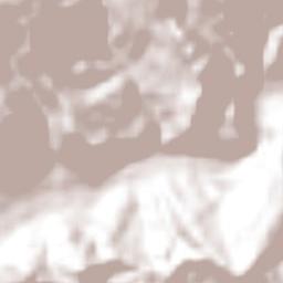 Sasaltitla Terrain Map