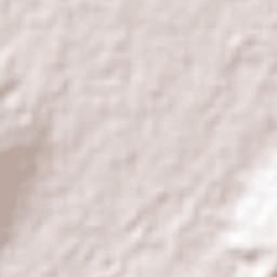 Vegas de la Soledad y Soledad Dos Terrain Map