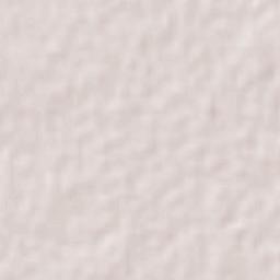 Sitilpech Terrain Map