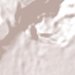 Josefa Ortíz de Domínguez Terrain Map