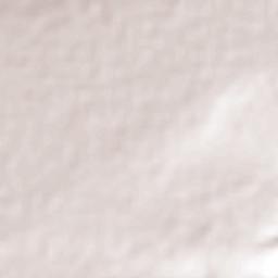 Cerrito de Tierra Terrain Map