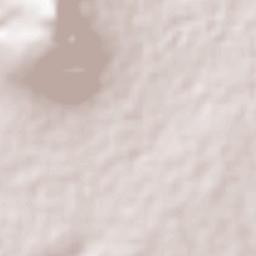 La Cebadilla Terrain Map