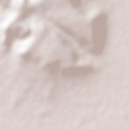 El Tecolote Terrain Map