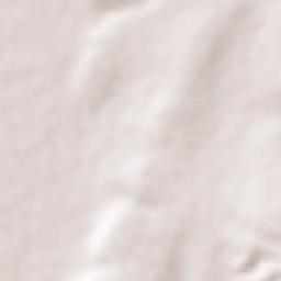 San Ignacio de Hidalgo Terrain Map